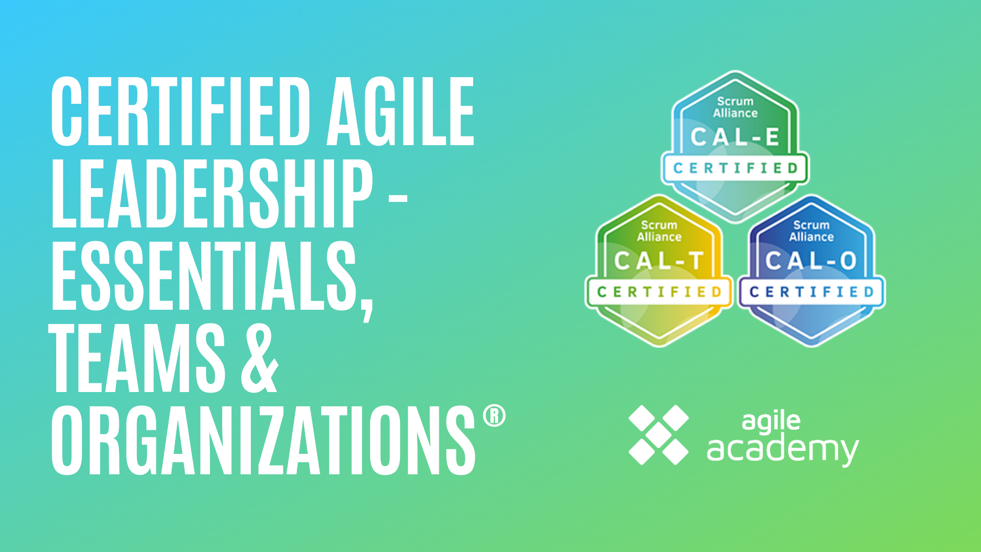 Certified Agile Leadership Qualifikationen